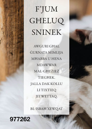 Picture of FJUM GHELUQ SNINEK KARTOLINA
